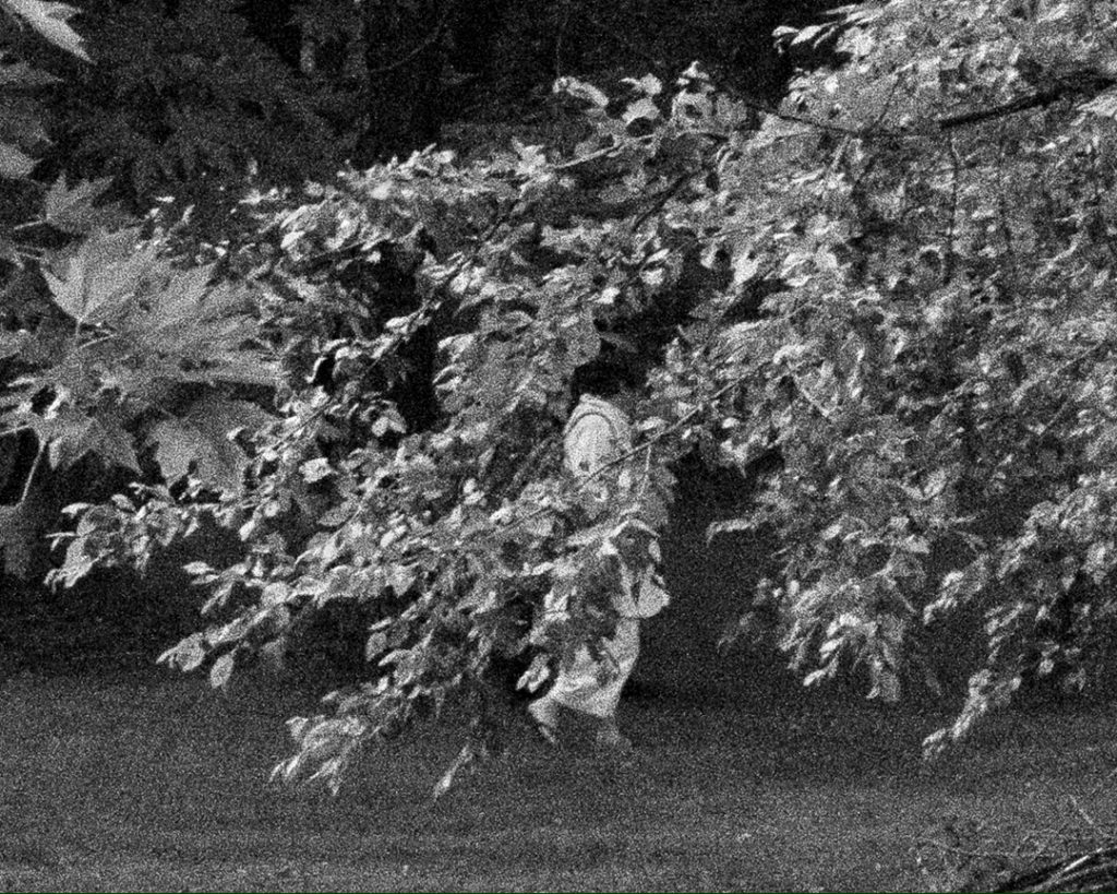 Black and white photo of person walking behind foliage