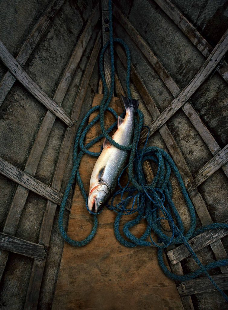 Fish on floor of fishing boat